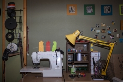 A-story-of-survival02