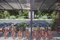 A-story-of-survival22