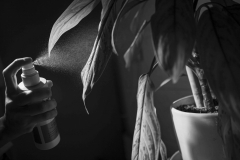 Isolation-in-my-little-apartment15