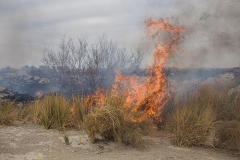 Blessing-out-Azad-Amin-web-final-04