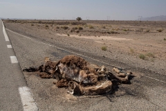 Blessing-out-Azad-Amin-web-final-21