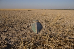 Blessing-out-Azad-Amin-web-final-35